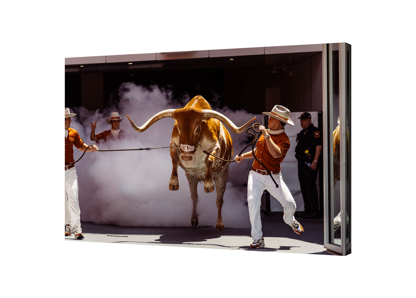 Jumping Bevo