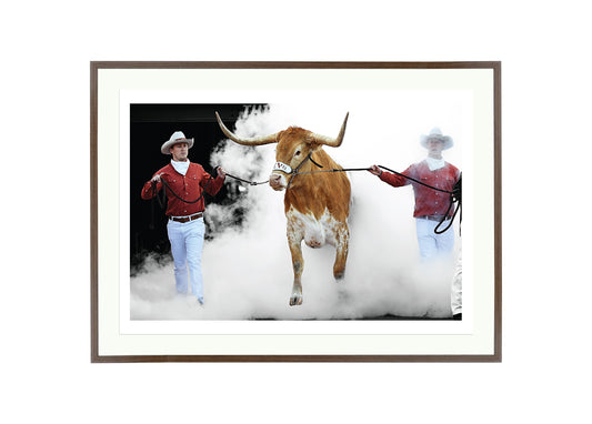 Bevo Leads the Charge