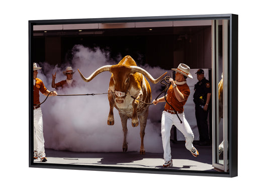 Jumping Bevo
