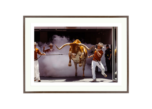 Jumping Bevo