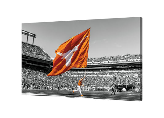 The Spirit of Texas