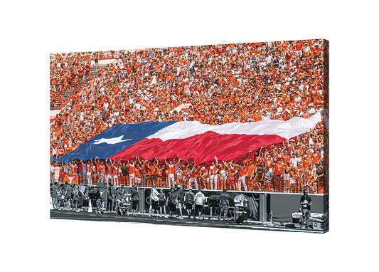 Lone Star and Longhorns: Rice Game