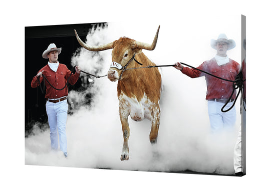Bevo Leads the Charge